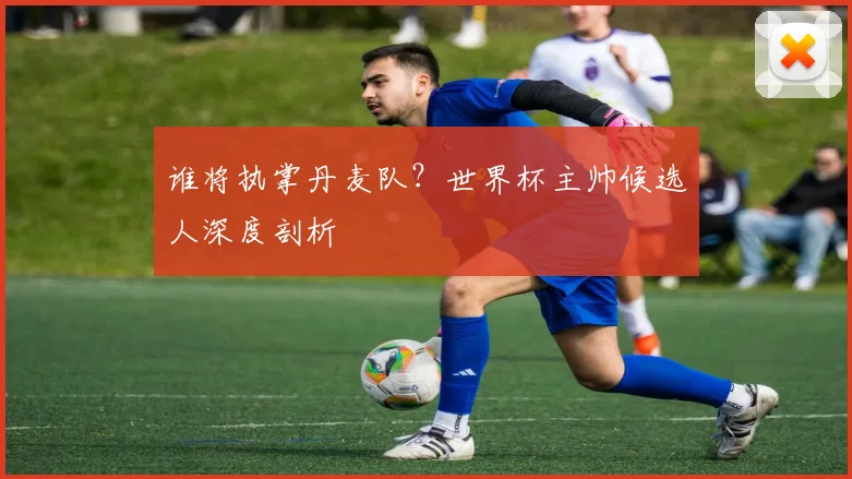 谁将执掌丹麦队？世界杯主帅候选人深度剖析